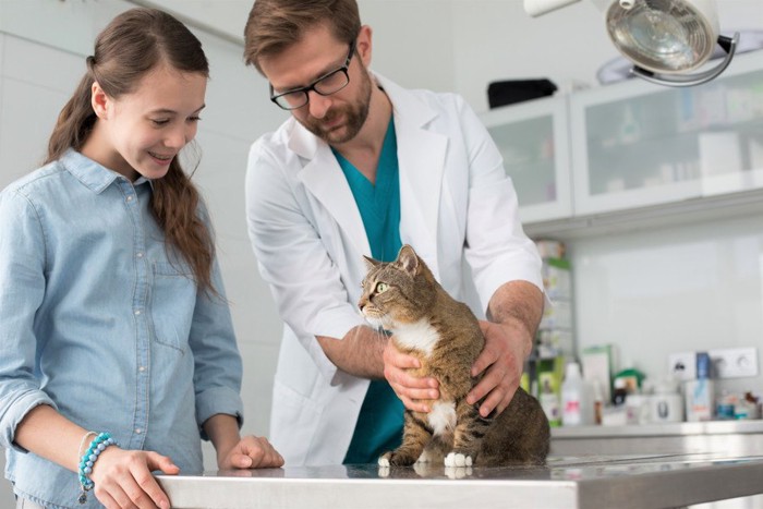 獣医師と飼い主と猫