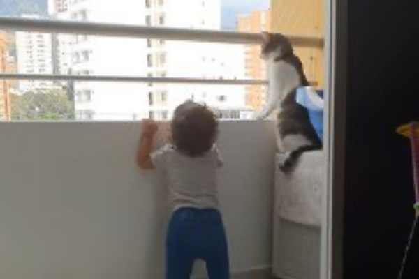 バルコニーから外を見る猫と幼児