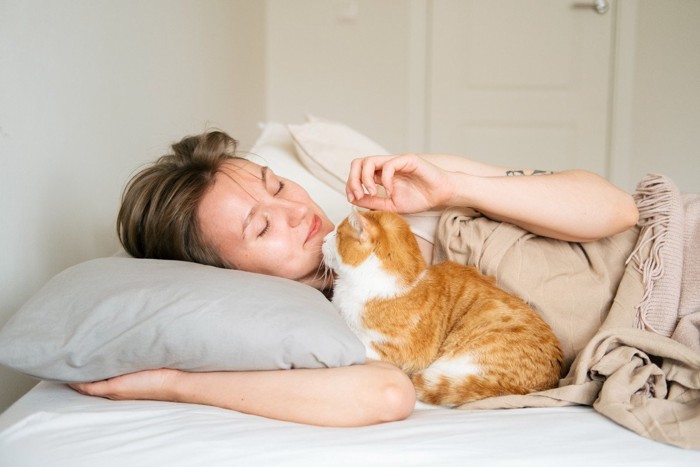 寝起きの女性にベッドでキスする猫