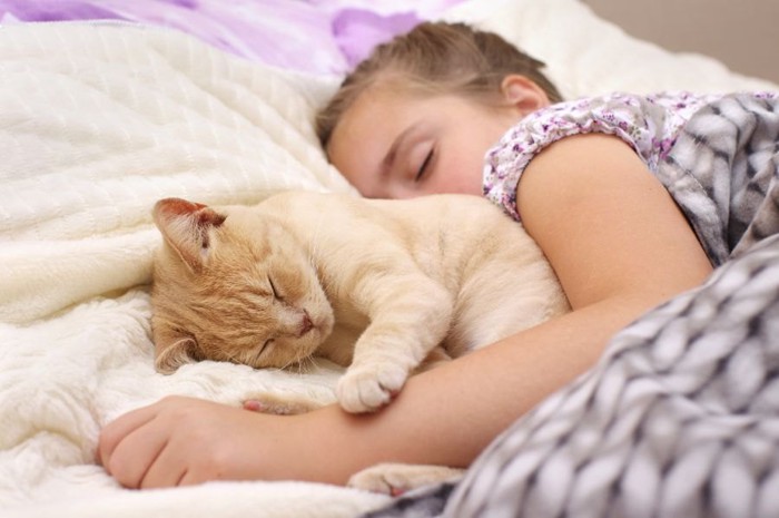 子どもと寝るクリーム色の猫