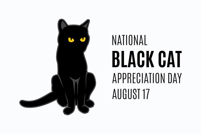 黒猫感謝の日