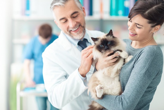 笑顔で猫を抱く女性と獣医師