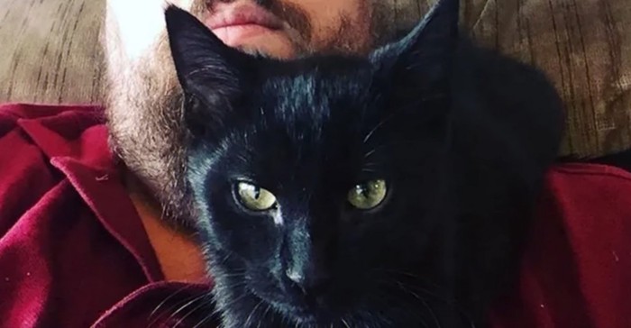 黒猫の顔アップ