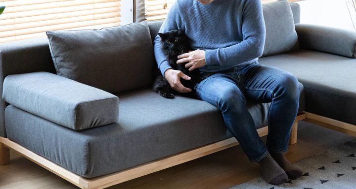 petシリーズソファに座る男性と猫