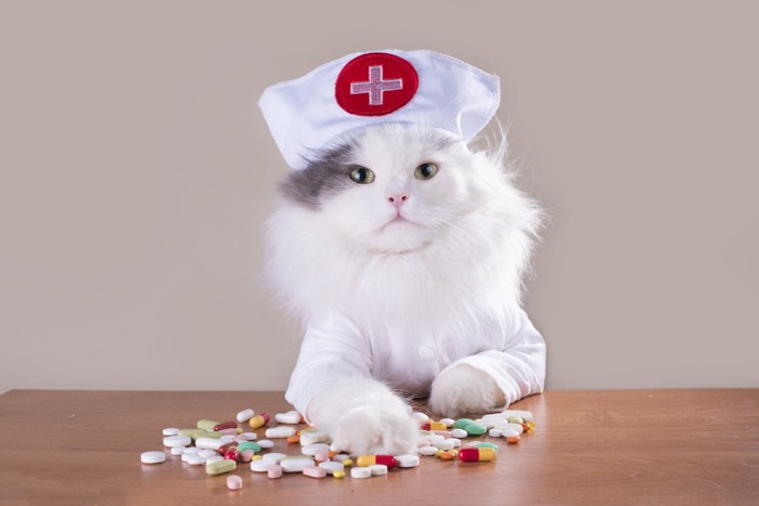 薬のカプセルと猫