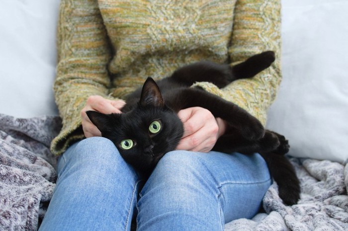 膝の上で寝る黒猫