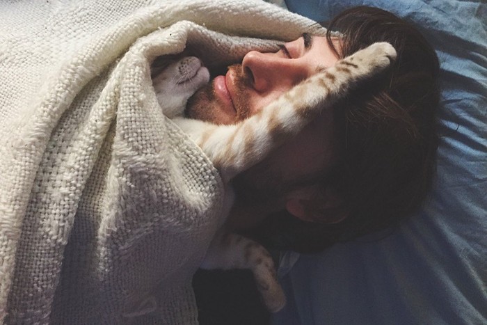人間の顔に抱きついて寝る猫