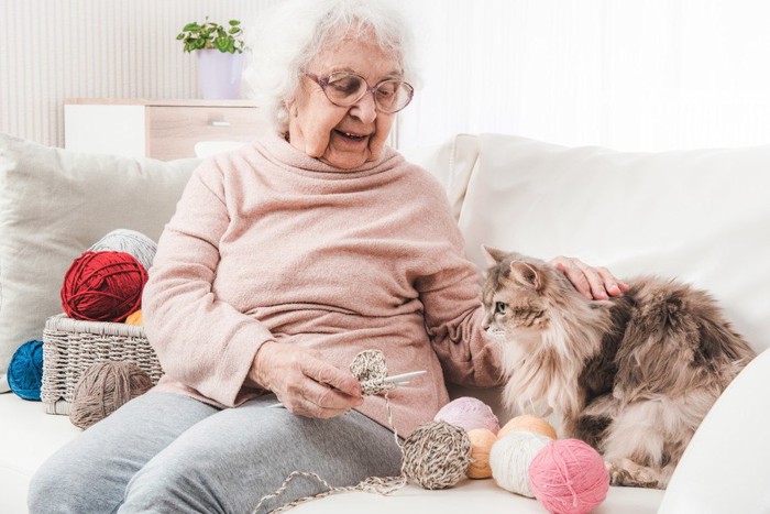 高齢の女性と猫