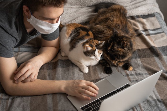 パソコンを触る男性の横に座る二匹の猫