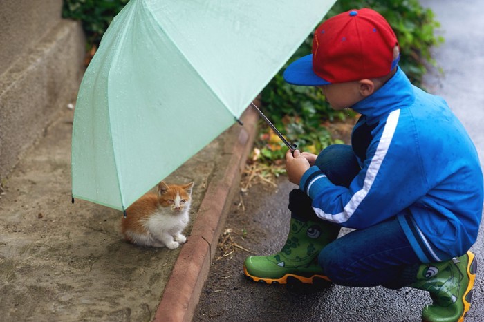 野良猫に傘をさす少年