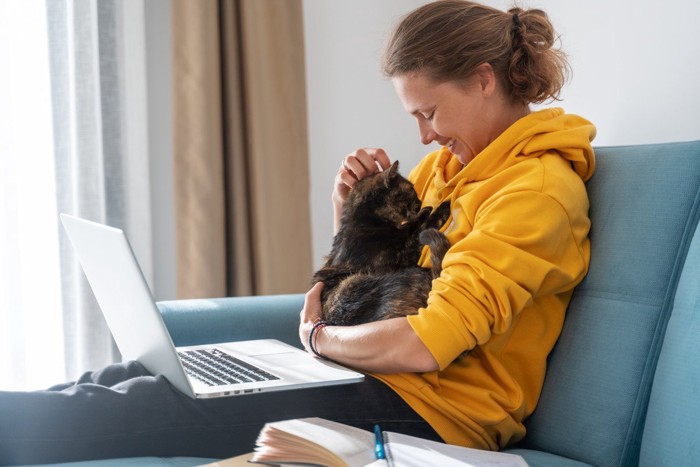 PC作業中の女性の膝の上で撫でられる猫