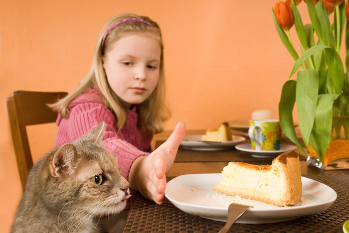 テーブルの上のケーキを狙う猫と制止する女の子