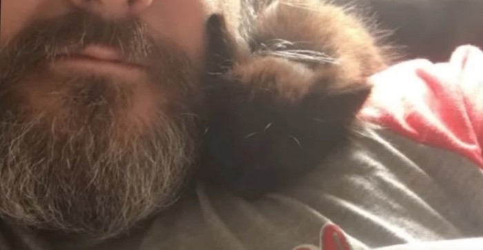 男性の肩で寝る黒猫