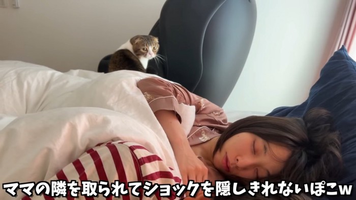寝ている人の後ろにいる猫