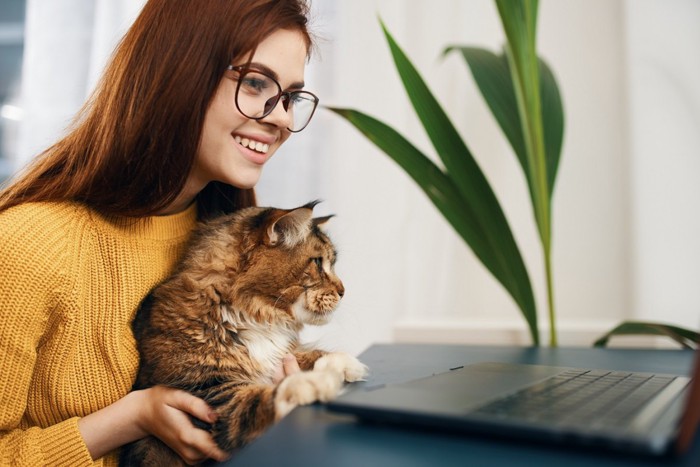 パソコンの前の女性に抱かれる猫