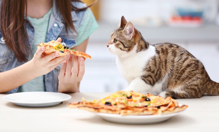 ピザを食べる女性のそばにいる猫