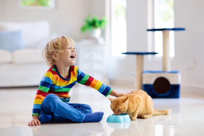 ご飯を食べる猫を笑顔で触る子供