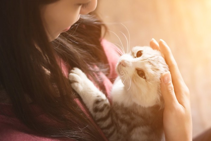 猫を抱いて撫でている女性