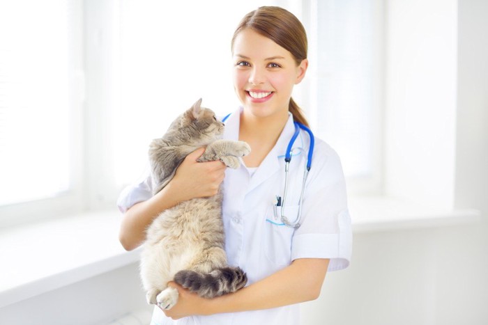 猫を抱っこしている女性獣医師