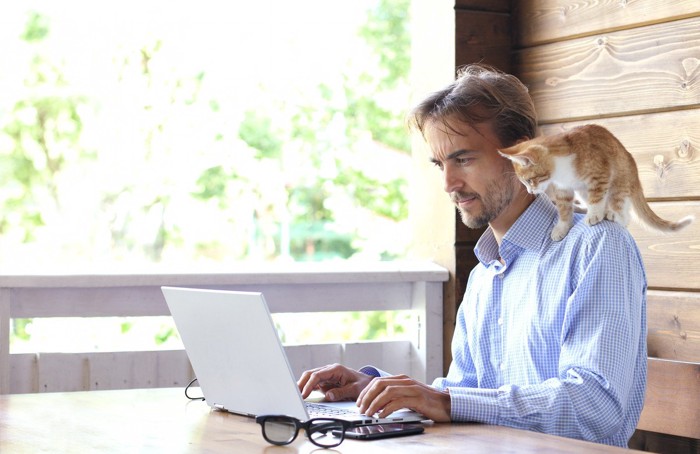 パソコンをする男性の肩に乗る猫