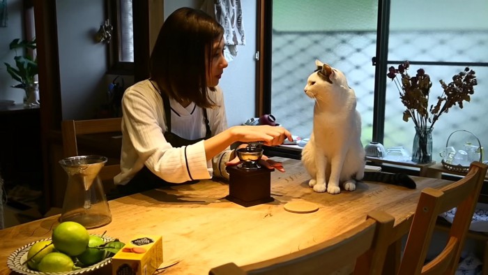 コーヒーを挽く女性と猫
