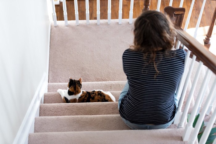 階段に座る猫と女性