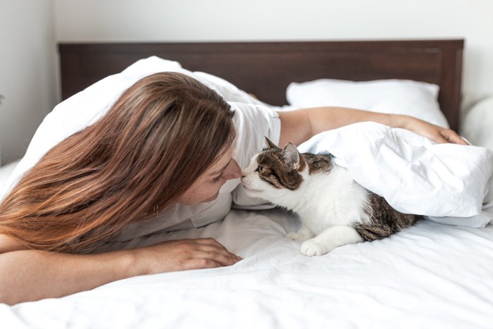 飼い主の女性とベッド上で鼻チューする猫