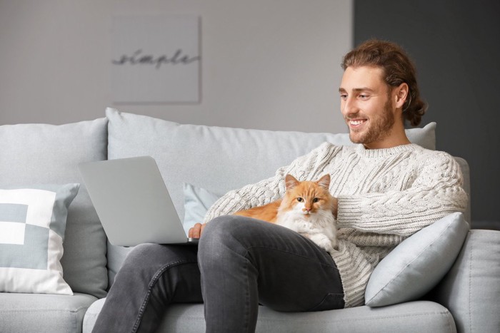 パソコンをしている男性の膝に乗る猫