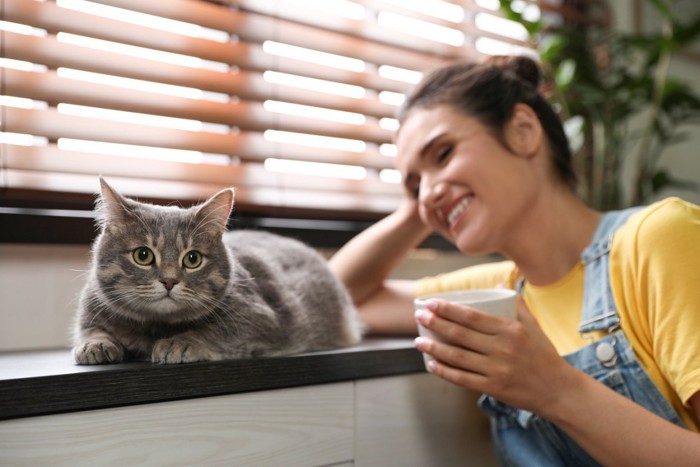 安心している猫とカップを持つ女性