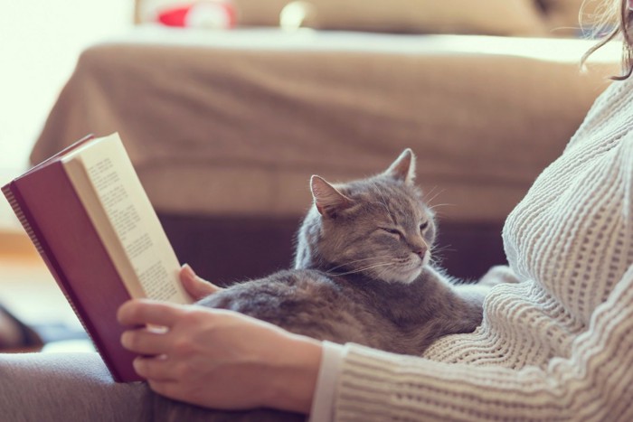 猫と本を読む飼い主