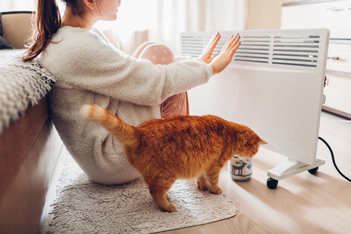 暖房で温まる猫と女性