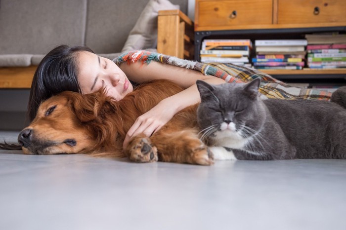 女の子に抱かれて眠る犬と添い寝する猫
