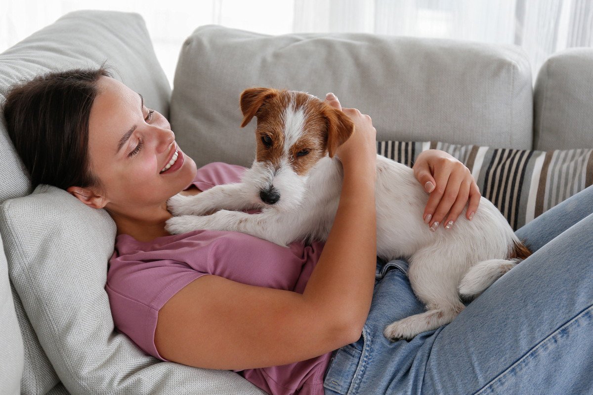犬が人に対してホリホリする時の心理とは？4つの理由と止めさせたい時の対処法