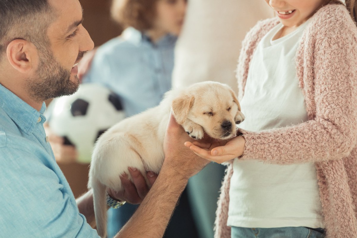 あなたは犬を飼うのに向いてる？９つの適性チェック項目と必ず意識すべきこと