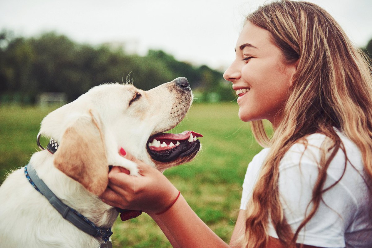 犬が「幸せ」と感じること5つ！今すぐにやりたい"愛犬を幸福にする方法"