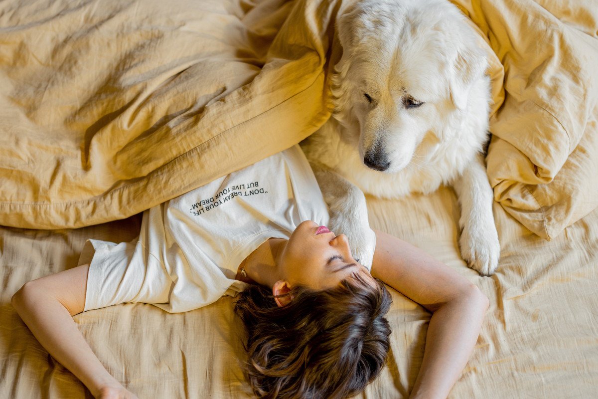 「愛犬が亡くなってしまう夢」を見る５つの意味　隠された暗示や心理状態とは