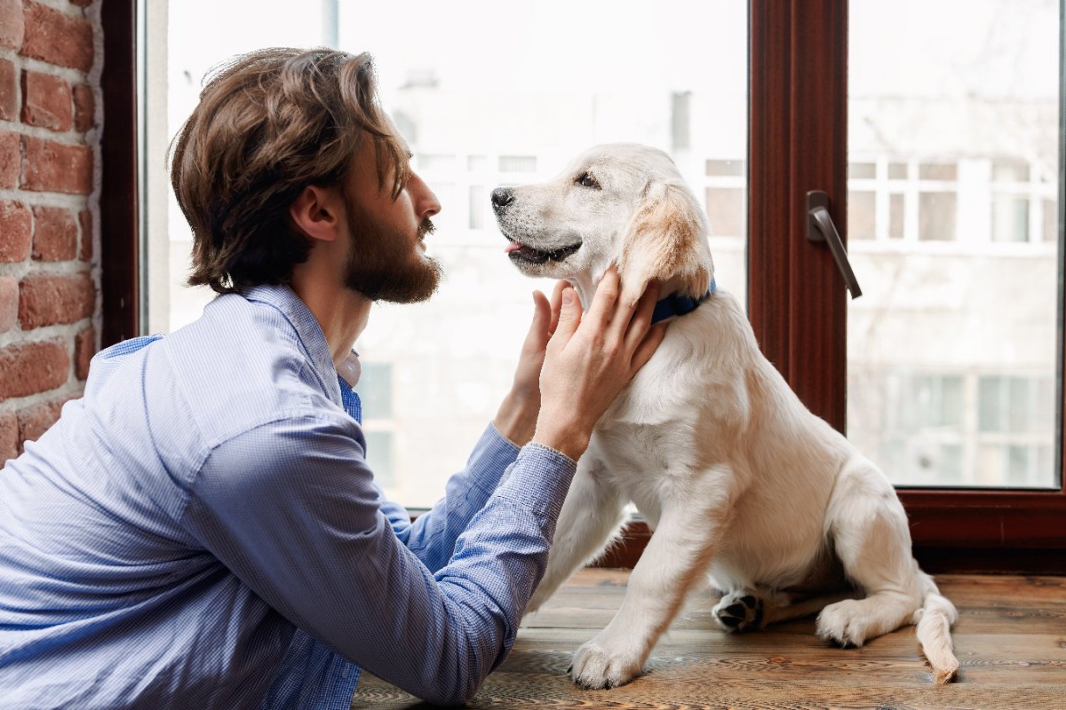 犬の脳は知らない言語や不自然な話し方にどんな反応をする？【研究結果】