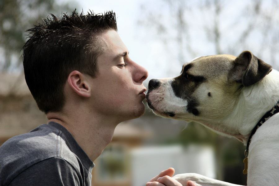 犬とのキスが孕んでいる５つのリスク