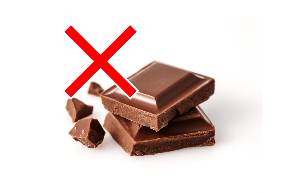 犬にチョコレートは危険！食べたときの中毒症状や対処法について【獣医監修】