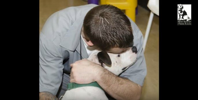 アメリカの刑務所の更生プログラム「犬のトレーナー養成」は人と犬を救う