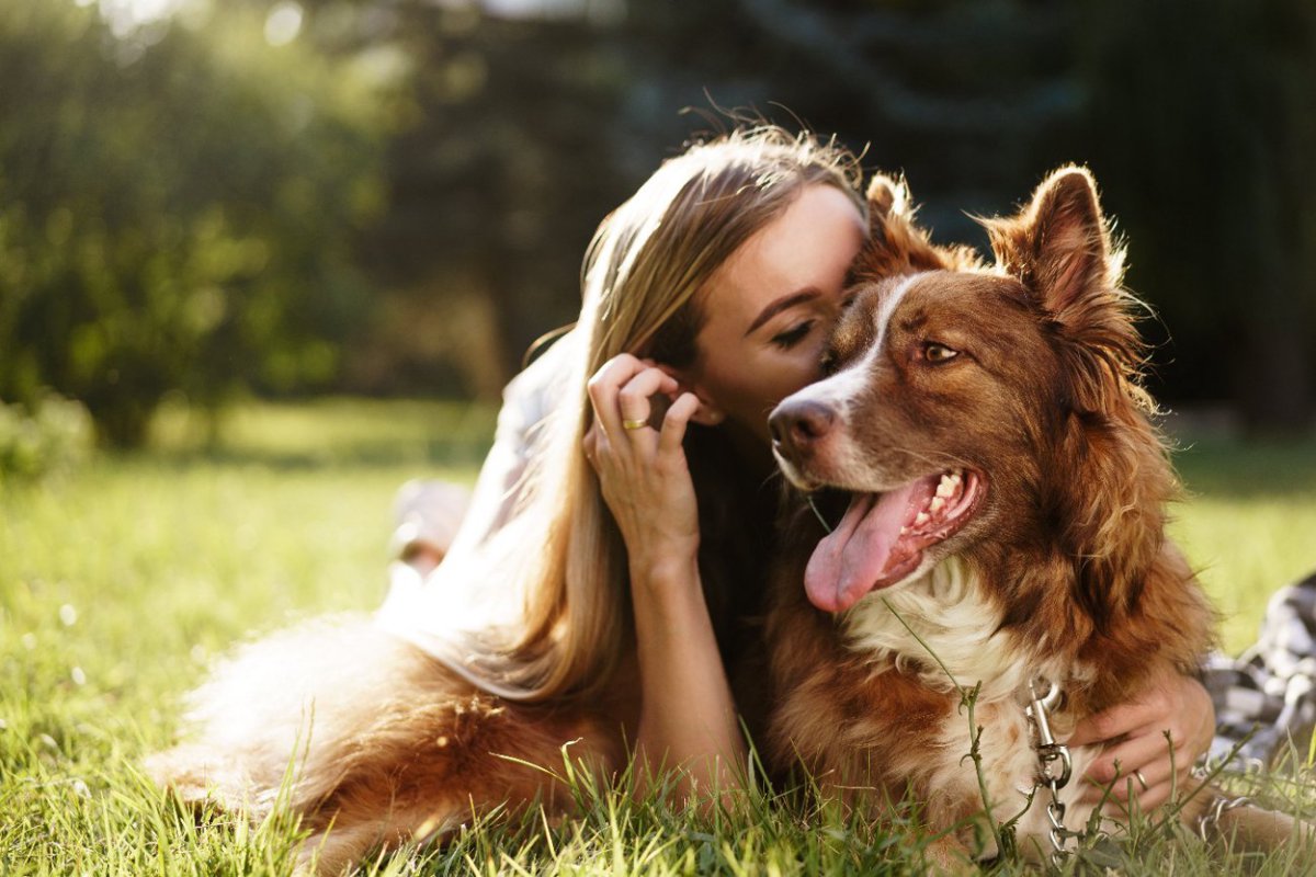 飼い主の性格と犬の攻撃的行動に関連があるという研究結果