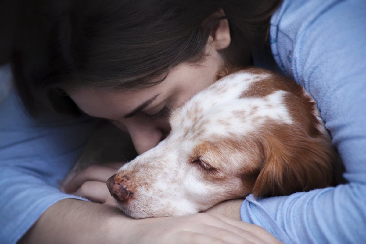 愛犬が死んだ後に襲い掛かる『ペットロス』 緩和するための対処法６選
