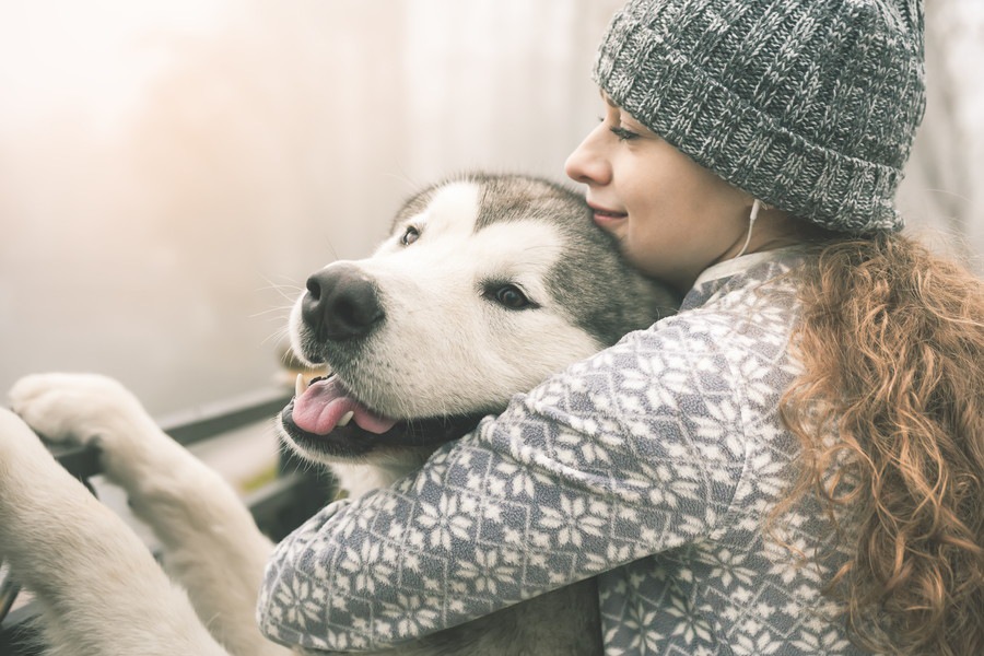 犬に愛されるために続けたい５つの習慣