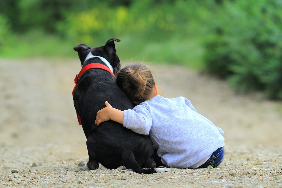 犬への「愛情」と「依存」の境界線はどこから？