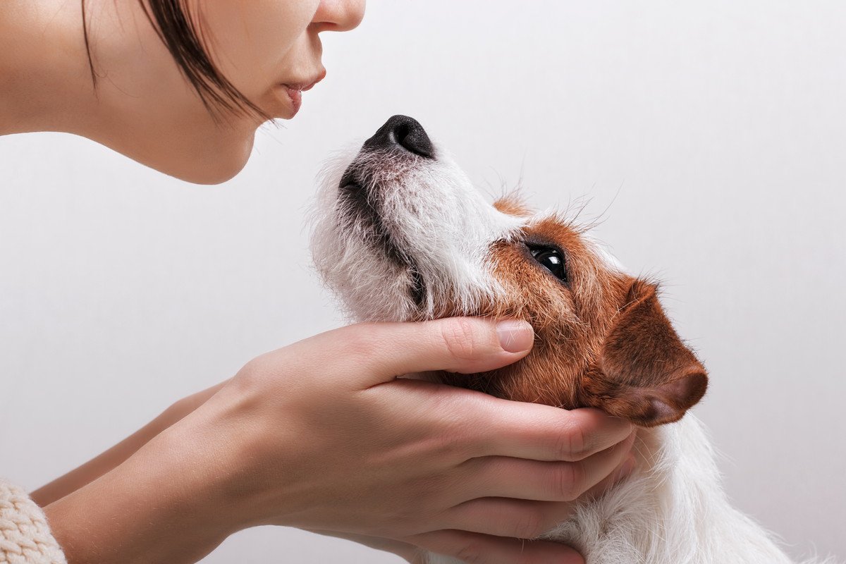 犬に顔を舐められるのは実は危険？キスをする4つのリスクや注意点
