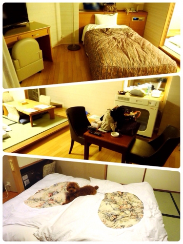 日本三景松島の「松島センチュリーホテル」は愛犬と一緒に宿泊できます！