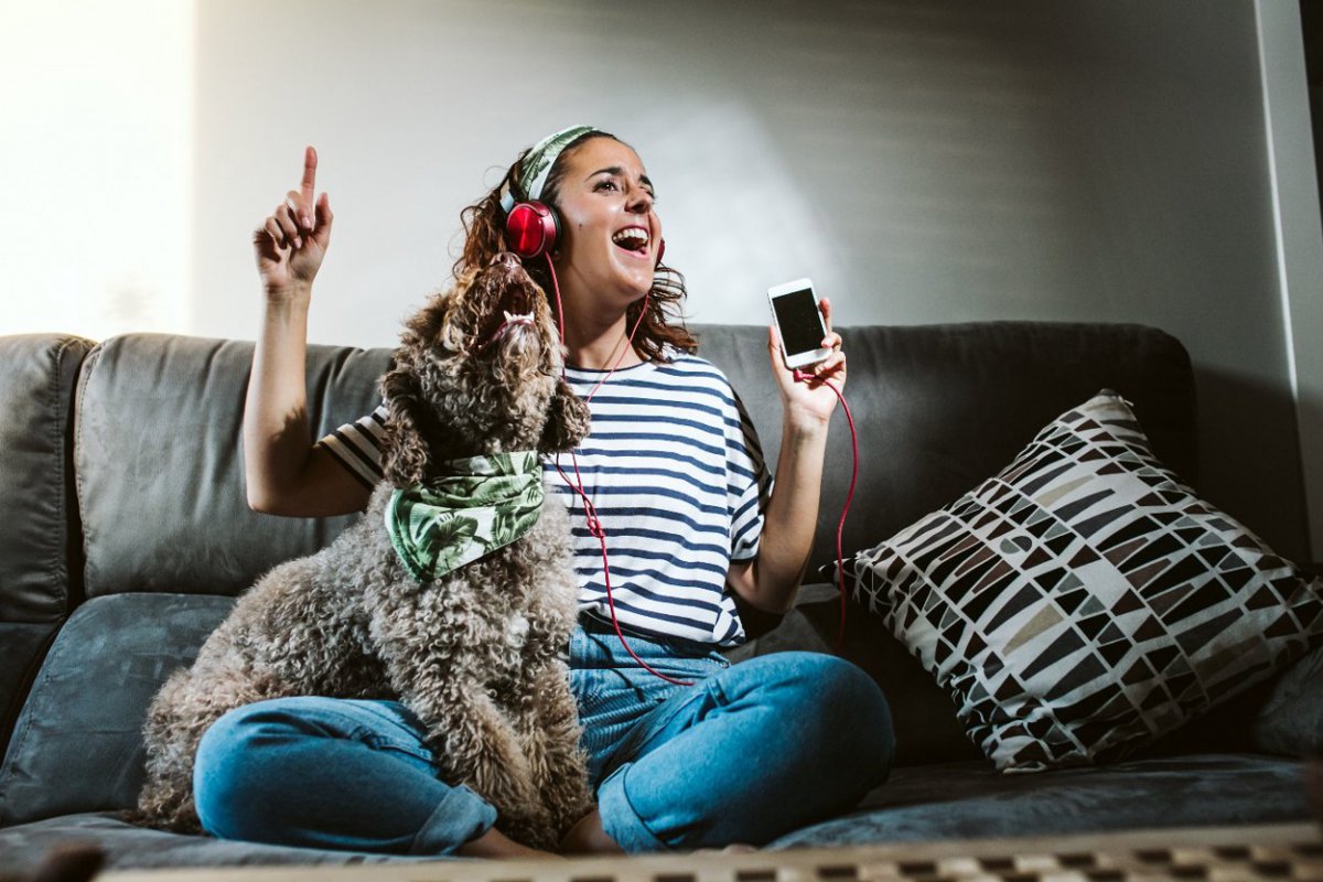 犬が好きな音楽とは？嫌いな音もあるって本当？