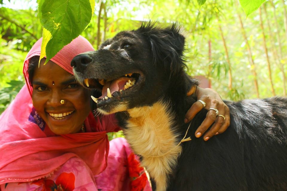 インドで動物を救う難しさと未来。保護団体『AnimalAid Unlimited』インタビュー