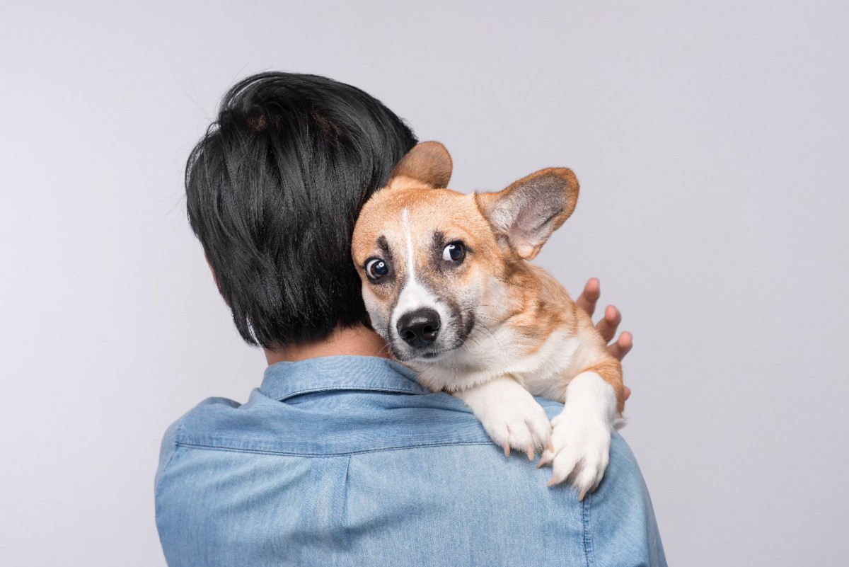 犬を抱っこする時の「絶対NG行為」5つ！怪我やトラブルに繋がる間違い行動とは？