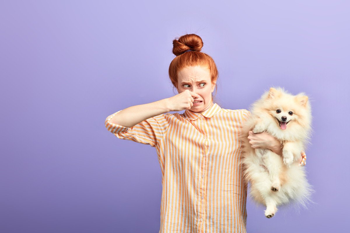 愛犬の体が臭う…体臭の原因は？5つの理由と消臭方法